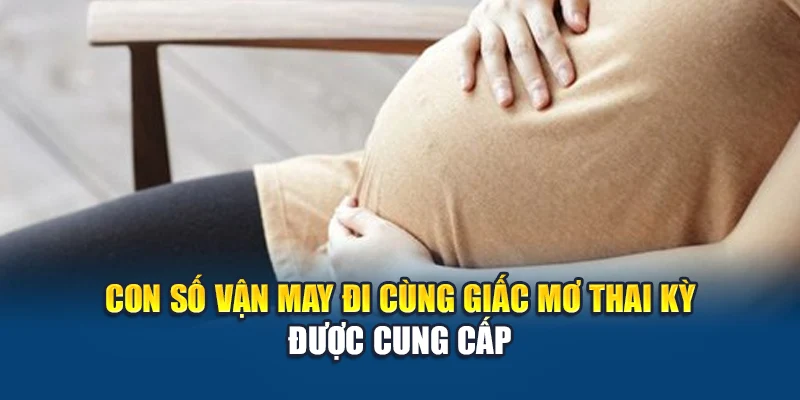 Mơ Thấy Có Bầu - Giấc Mơ Báo Hiệu Khởi Đầu Mới Hay Nỗi Lo? 3 Con số vận may đi cùng giấc mơ thai kỳ được cung cấp